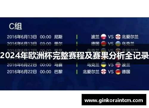 2024年欧洲杯完整赛程及赛果分析全记录